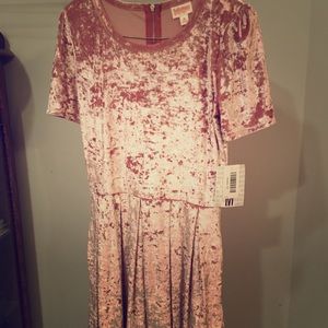 Elegant Velvet Amelia new with tags